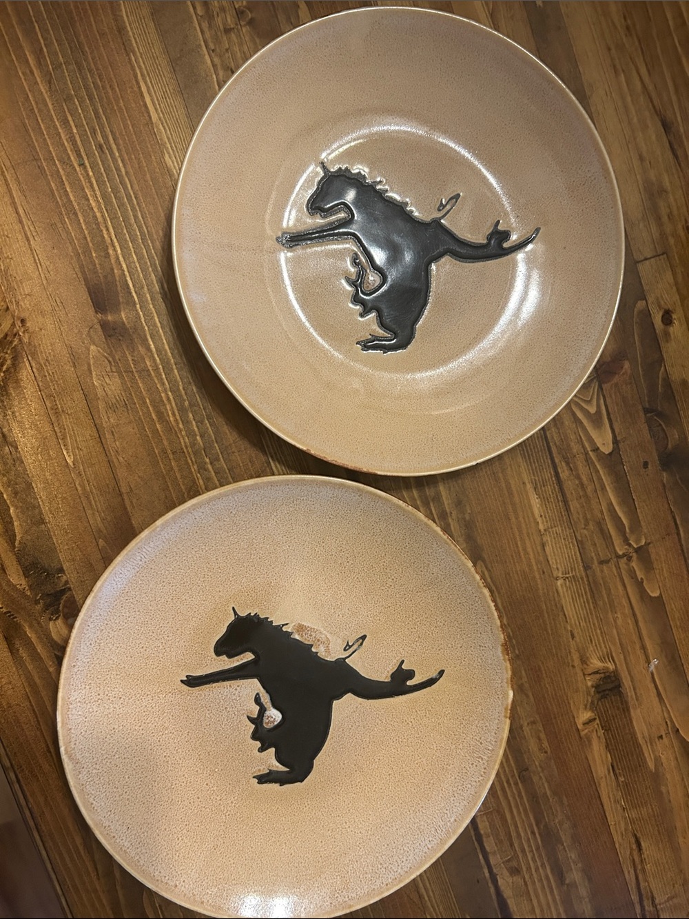 Cowboy Living Buckaroo Stoneware Salad Plates - Set of 2